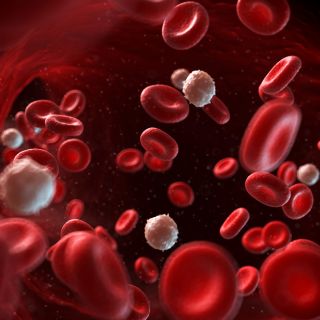 Apoyo a la Circulación Sanguínea